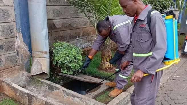 Vermkil Consultants Ltd about image