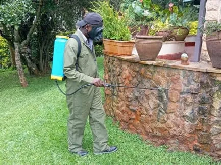 Special Bed Bug Control Program