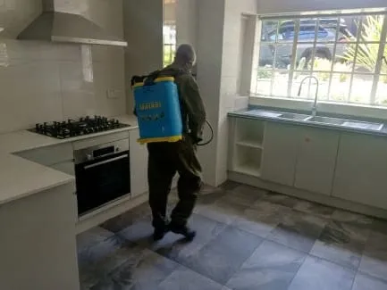 Fumigation of Stored Produce